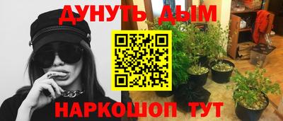 гидропоника Дубна