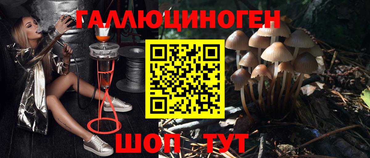 Псилоцибиновые грибы Psilocybine cubensis  Вход с VPN  Калач-на-Дону  Псилоцибиновые грибы Psilocybe 